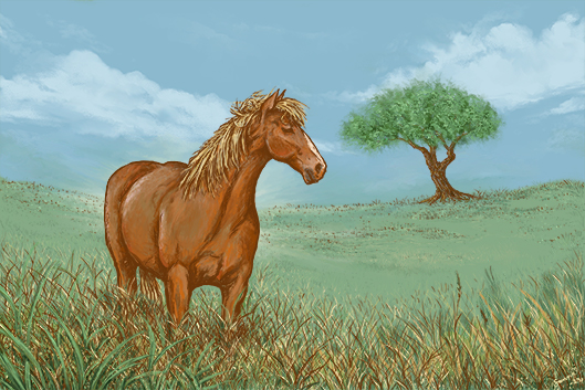 Piirroskuvassa hevonen heinikossa katselemassa sivulle ja taustalla pilvinen taivas ja yksinäinen puu niityllä.