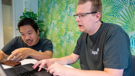Kaksi miestä tutustuu Aspan oppimisalustaan.