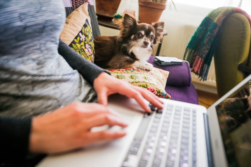 Kädet läppärin näppäimistöllä. Koira vieressä.